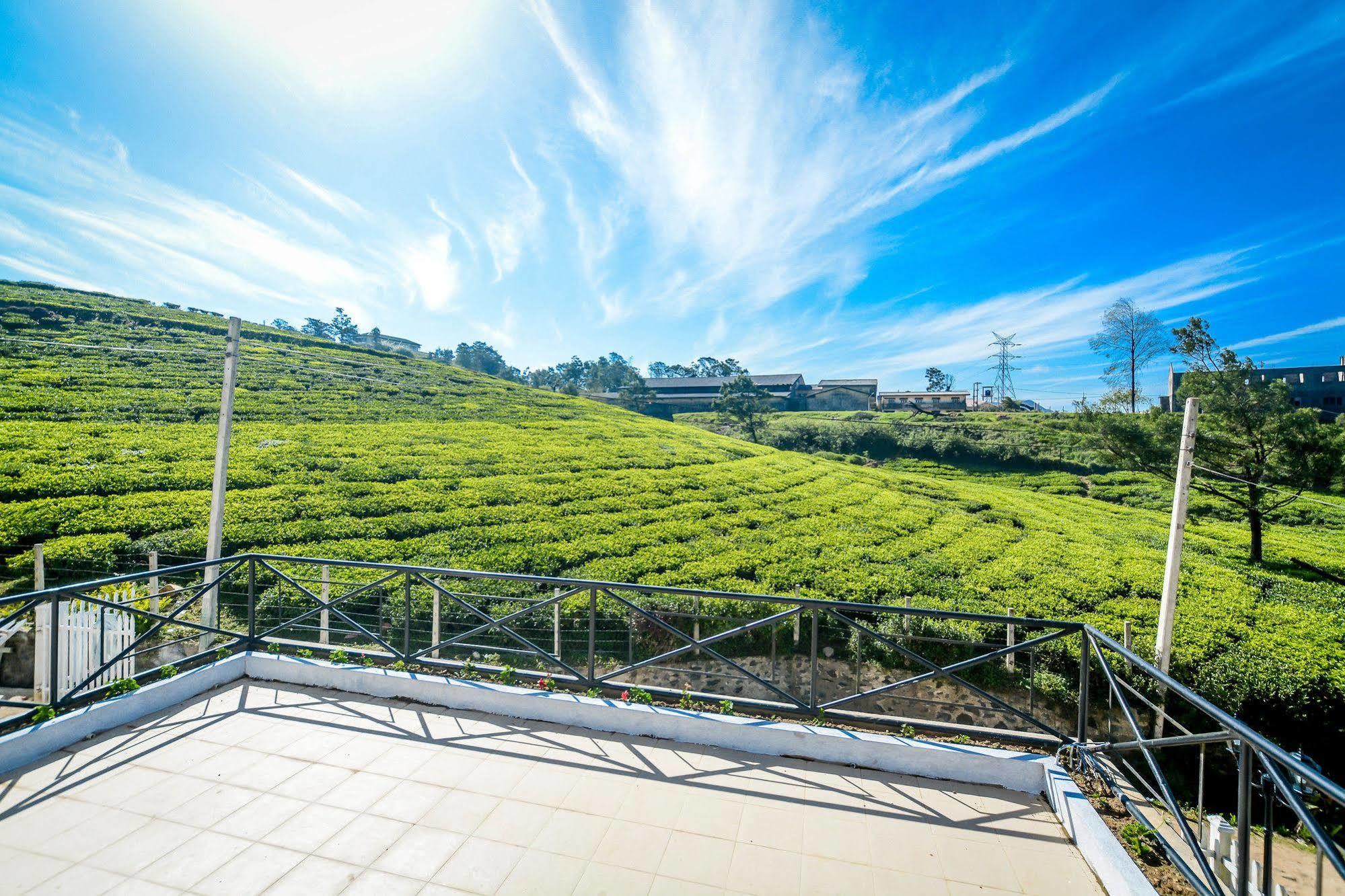 Villa Tea Fields Nuwara Eliya Exteriör bild